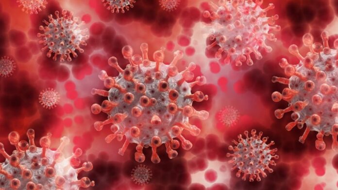 Coronavirus La OMS se reúne de emergencia para analizar la nueva variante detectada en Sudáfrica