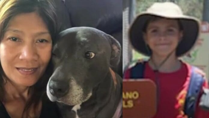 Con métodos de escultismo, un niño boy scout rescató a una mujer y su perro herido