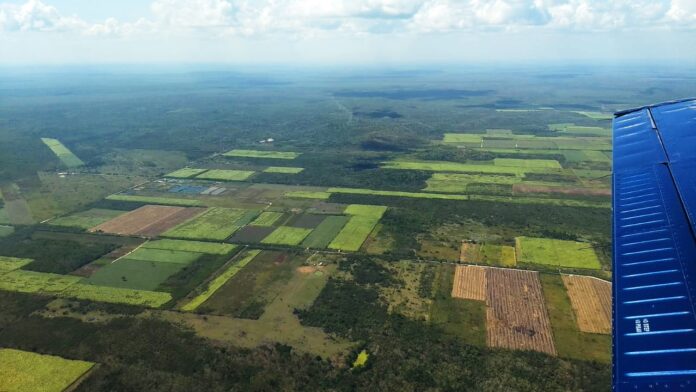 Quintana Roo promueve el desarrollo sustentable y las bajas emisiones de carbono