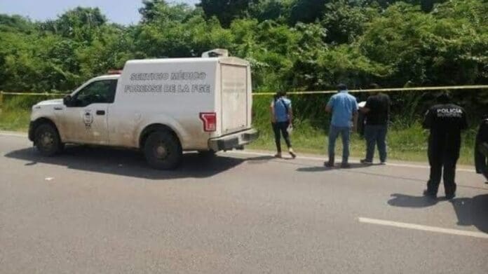 Corazones de oro: Bomberos sacan a perrito de pozo en Alfredo V. Bonfil