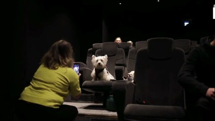 Abren el primer cine para lomitos en Inglaterra