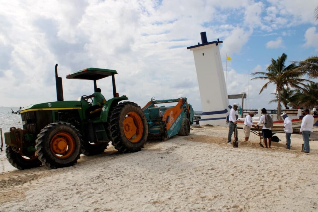 Alista gobierno de Puerto Morelos plan para mitigar el impacto del sargazo