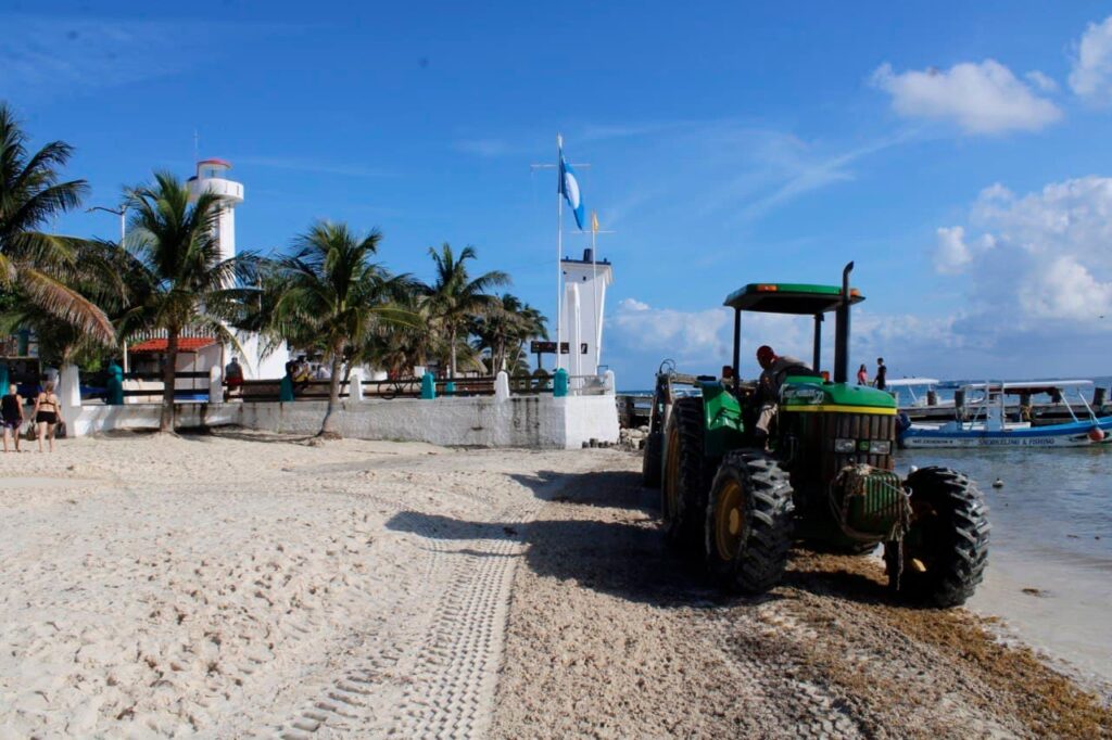 Alista gobierno de Puerto Morelos plan para mitigar el impacto del sargazo