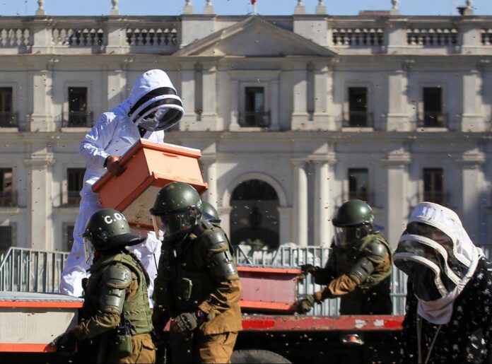 Protesta en Chile usa abejas en lugar de bomba molotov para que piquen a los policías