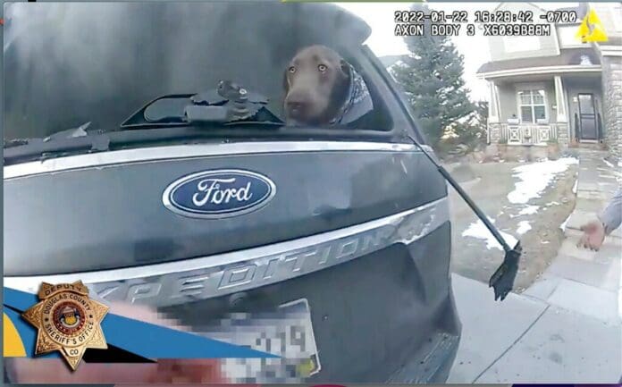 Policía rompe ventanilla de auto en llamas y rescata a perro; supe que estaba muy mal