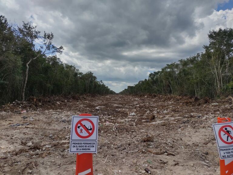 Daños por el nuevo trazo del Tren Maya son incalculables, señala ‘Amigos de Sian Ka’an’
