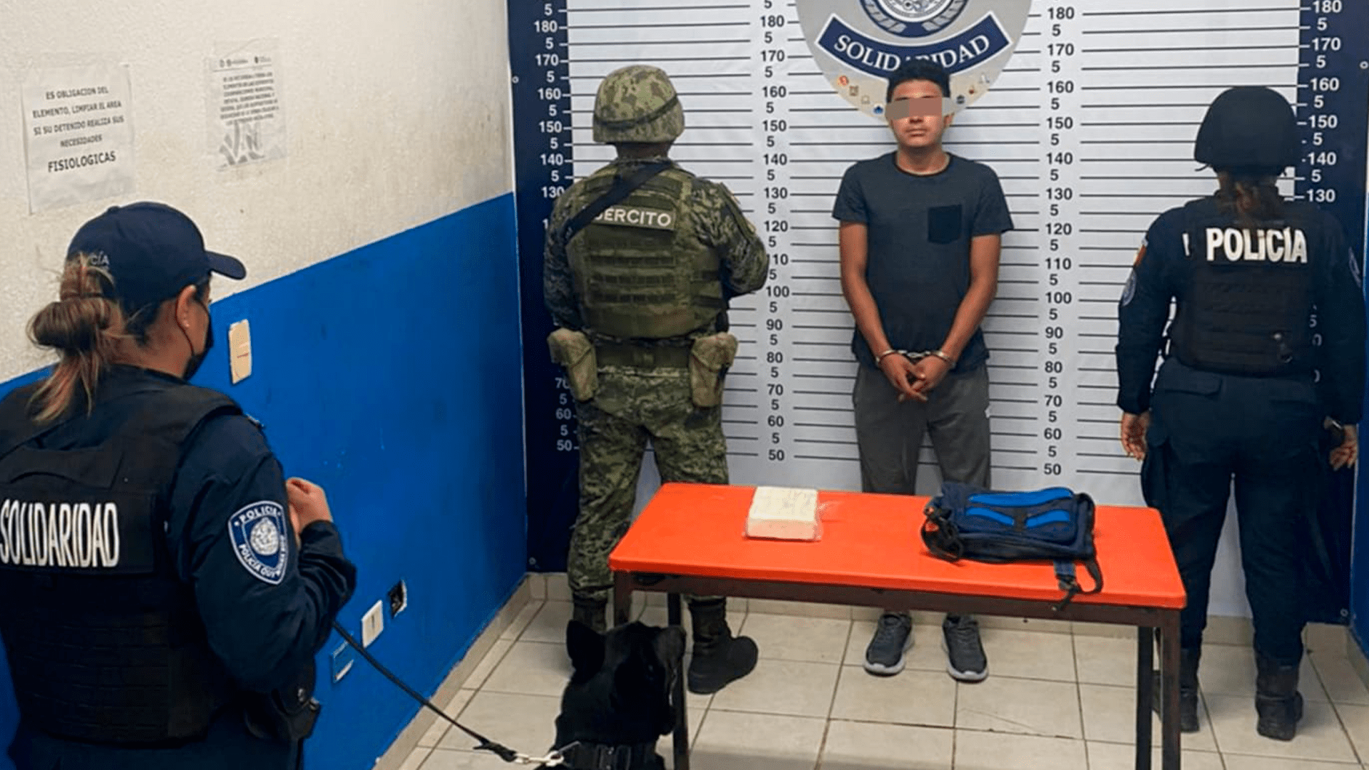 Un binomio canino descubrió que un sujeto llevaba un ladrillo con coca en el transporte público en Playa del Carmen.