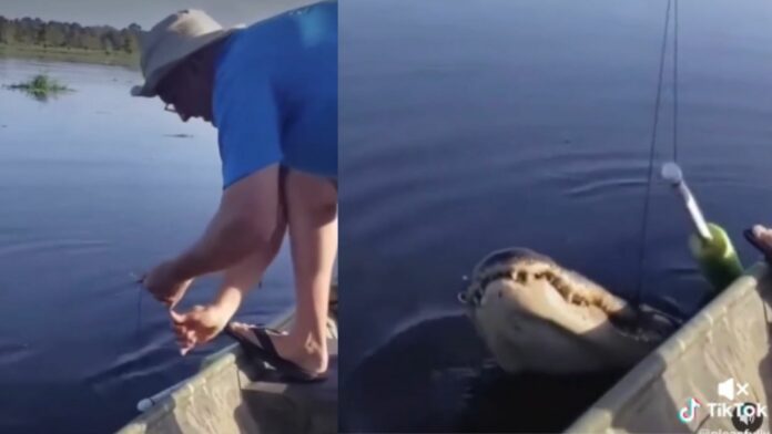 Video: Se sorprende tras atrapar un cocodrilo mientras pescaba en una laguna