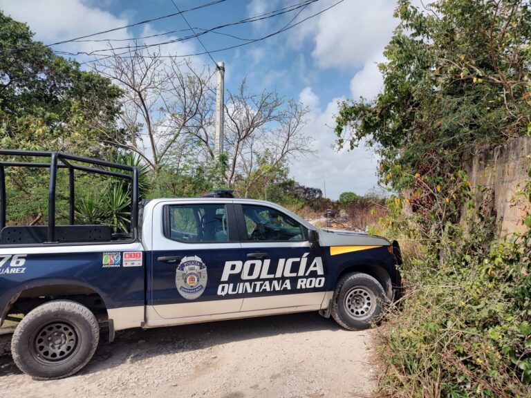 Dejan un cuerpo descuartizado en camino de terracería de Cancún
