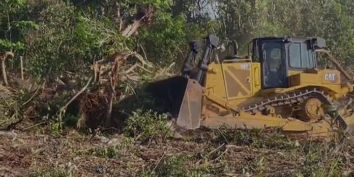 Captan maquinaría trabajando en el Trazo 5 Sur del Tren Maya