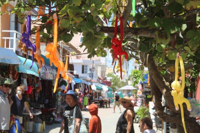 ‘El árbol de los changuitos', un nuevo parador turístico de Isla Mujeres que sobrevivió a la pandemia 