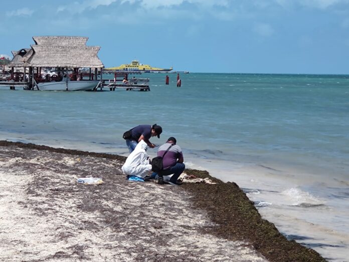 Hallan restos humanos en playa de Puerto Juárez