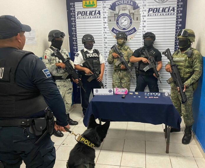 Policías de Solidaridad encuentran droga en una maceta de la colonia Centro