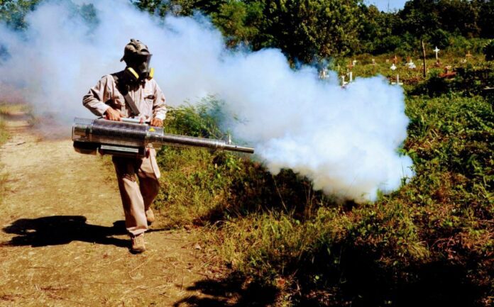 Vigilan posible proliferación de moscos Aedes Aegipty en tres regiones de Cancún￼