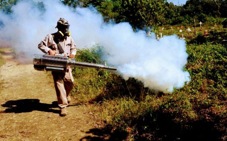 Vigilan posible proliferación de moscos Aedes Aegipty en tres regiones de Cancún￼