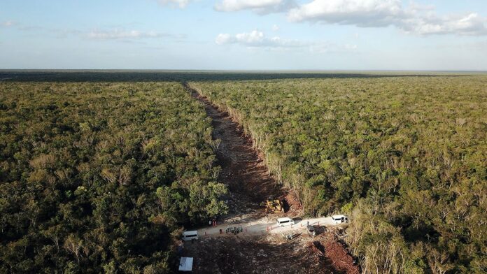 Centro Mexicano de Derecho Ambiental: Tren Maya no es asunto de Seguridad Nacional