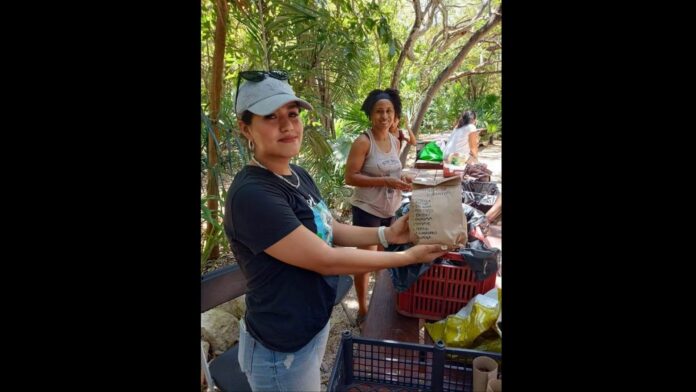 Para promover la alimentación y la agricultura orgánica y sostenible, se producen alimentos orgánicos en Playa del Carmen. Foto: Gobierno de Solidaridad