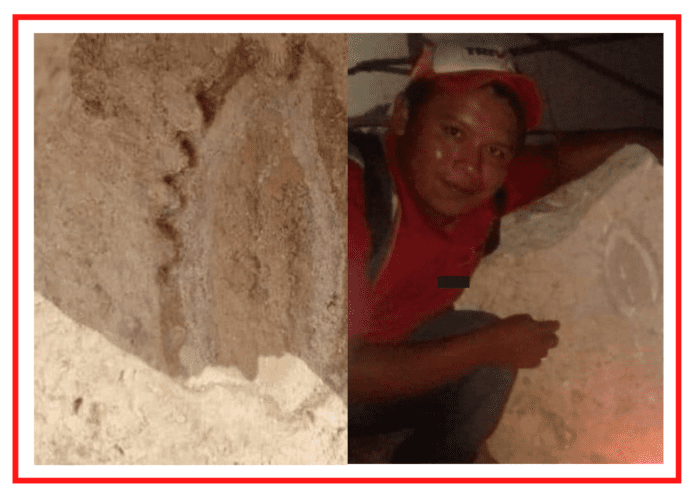 ¡MILAGRO! Encuentra trabajador del Tren Maya imagen de la Virgen de Guadalupe en una piedra