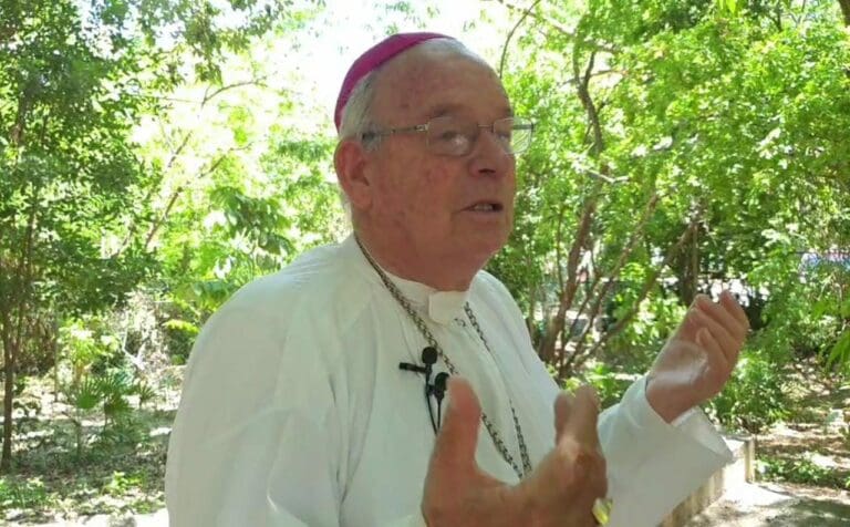 'Ley Vicaria', una iniciativa sesgada y manipulada por la ideología de género, asegura Obispo Pedro Pablo Elizondo