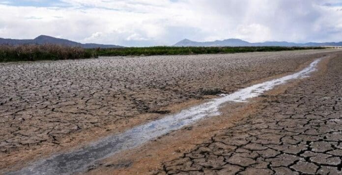 La Conagua ha declarado el inicio de la emergencia por sequía en el país; los estados más afectados son los que se encuentran en el norte