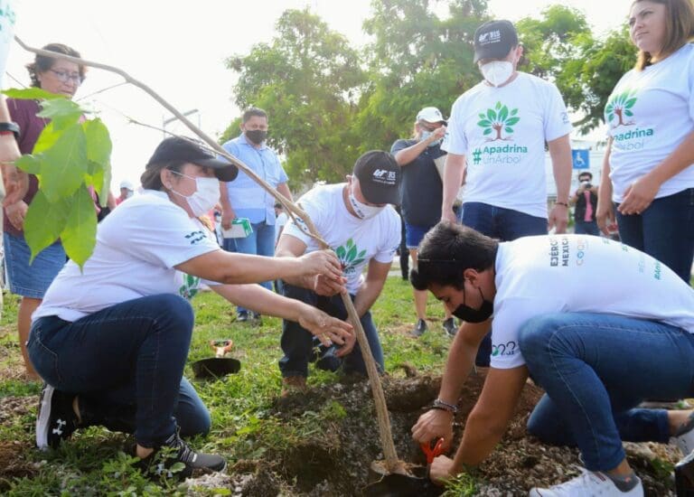 SUMAN ESFUERZOS GOBIERNO DE BJ Y UT EN PROGRAMA “APADRINA UN ÁRBOL”