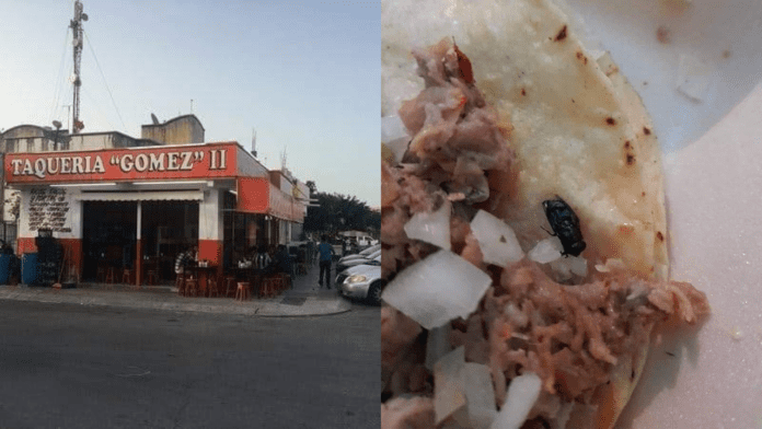 Encuentra comensal una mosca sus tacos en Playa del Carmen