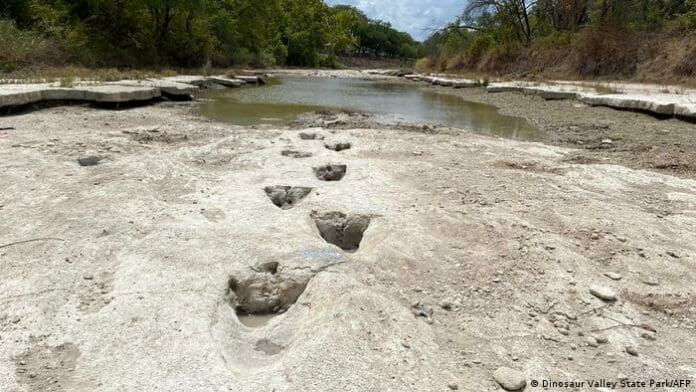 Encuentran huellas de dinosaurios de hace 113 millones de años