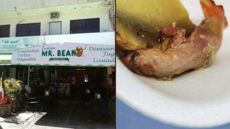 Usuaria denuncia lagartija en su comida Cancún