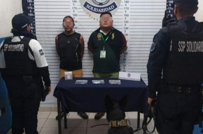 Perro policía detecta a dos con drogas en la zona de playas de Solidaridad