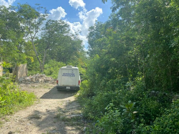 Dejan cuerpo descuartizado en colonia Avante de Cancún