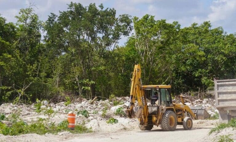 Para ambientalistas como los de Gema, es posible el diálogo con el frente a favor del Tren Maya siempre y cuando se dé con respeto.