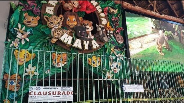 Permite Fiscalía a dueño retirar ejemplares de Animalandia en Playa del Carmen