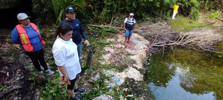 SUMA GOBIERNO DE BENITO JUÁREZ ESFUERZOS PARA MEDIO AMBIENTE SOSTENIBLE