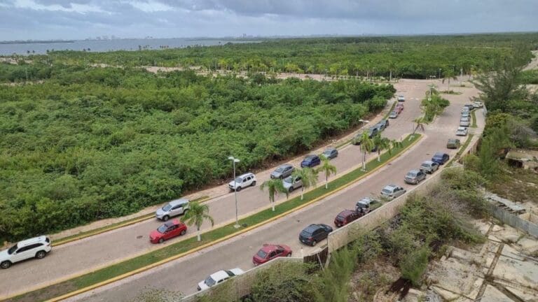 Amparo tramitado por ecologistas no implica la suspensión del PDU de Benito Juárez