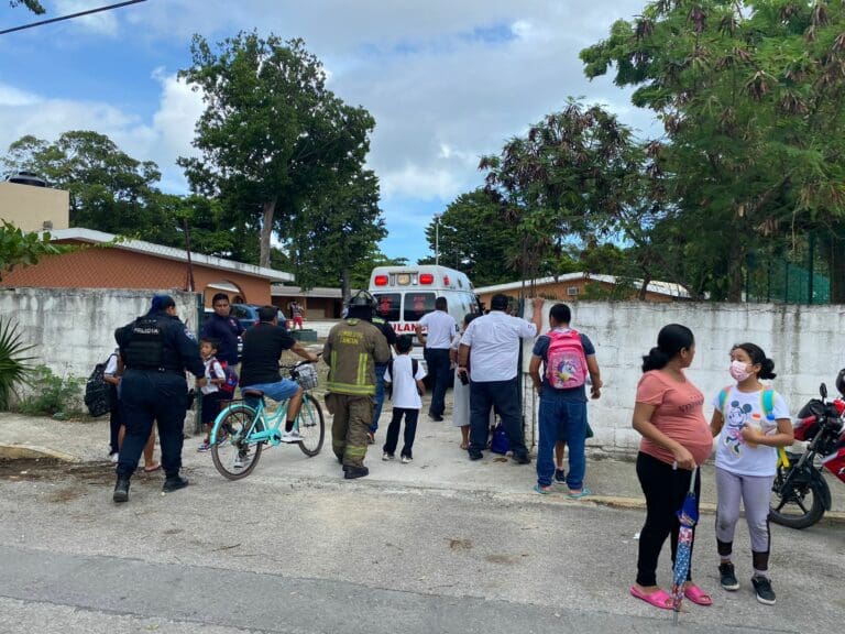 Evacúan escuela en Cancún por ataque de abejas