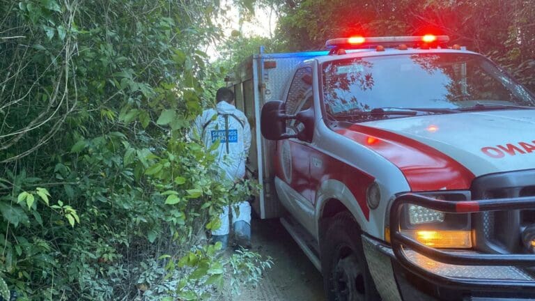 Hallan tres cadáveres más en la colonia Santa Cecilia de Cancún