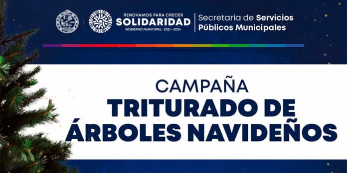 Gobierno abre centro de copio para árboles de navidad 