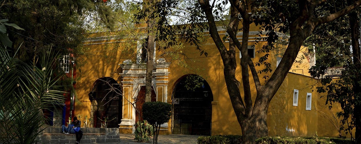 Todo sobre la Alcaldía de Coyoacán - Ciudad de México