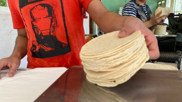 Denuncian tortilleros competencia desleal de supermercados