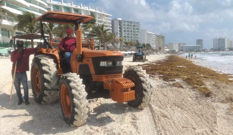 Más de mil 600 toneladas de sargazo han sido recolectadas en Cancún en lo que va del año