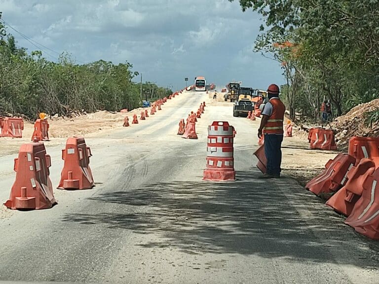 Ambientalistas dieron a conocer que un juez de Yucatán concedió una suspensión definitiva de las obras en algunos tramos del Tren Maya.