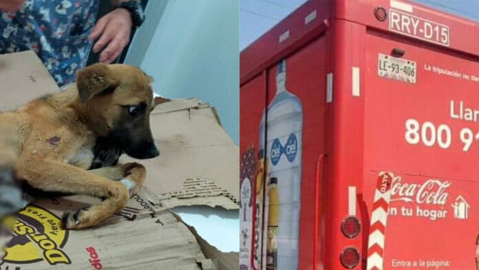 VIDEO: Camión de Coca-Cola arrastra a perrito por calles del Edomex