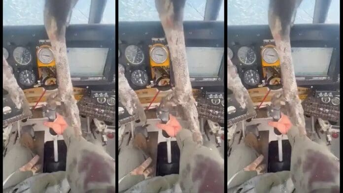 Un ave enorme impacta y queda incrustada en una avioneta en pleno vuelo en Ecuador