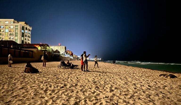 Molestan turistas a tortuga mientras desovaba en Cancún