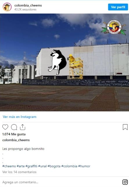 Murió Cheems, el perro que se volvió meme y se hizo viral