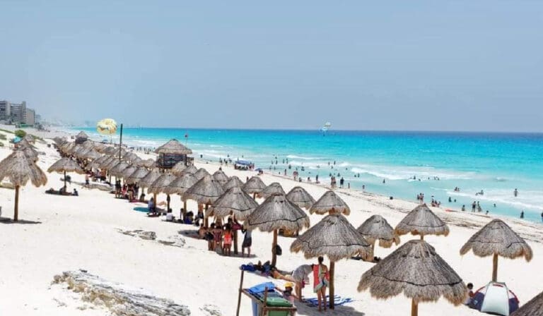 Se decretan 4 nuevas Áreas Naturales Protegidas en Q. Roo, incluida playa Delfines de Cancún