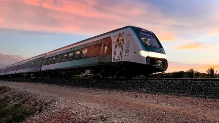 Una nueva carrera que estará relacionada con el Tren Maya será impartida desde el 2024 en la Universidad Politécnica.