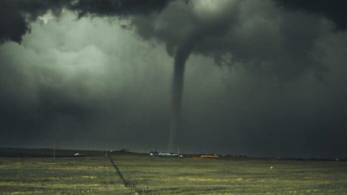 Encuentran vivo a un bebé en un árbol tras ser arrastrado por un tornado