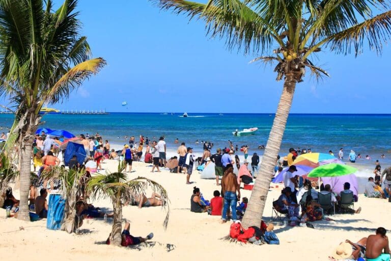 Más de 5 mil bañistas diarios han visitado las costas de Playa del Carmen la primera semana del 2024 Más de 5 mil bañistas diarios han visitado las costas de Playa del Carmen la primera semana del 2024