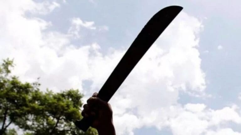 Dos ladrones que ingresaron a una vivienda en Cancún fueron sorprendidos por el dueño, quien sin dudarlo, utilizó su machete.